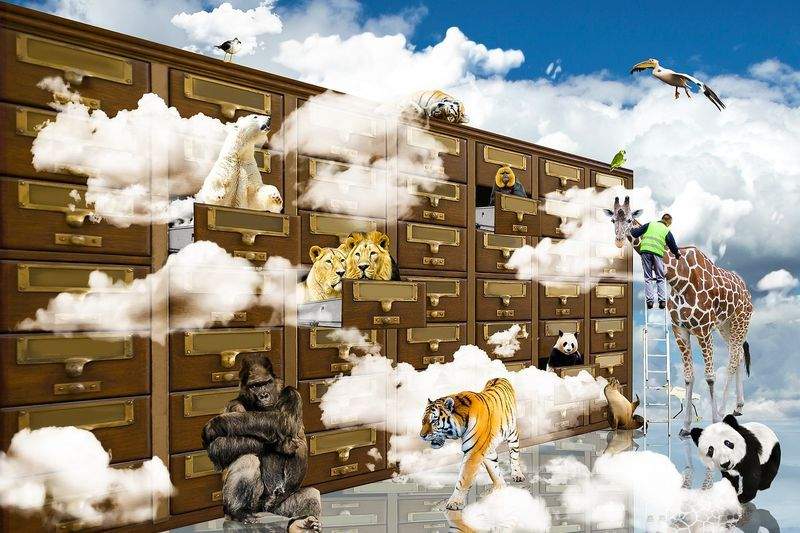 Kast & Kledingmaatwerk Amsterdam 7
